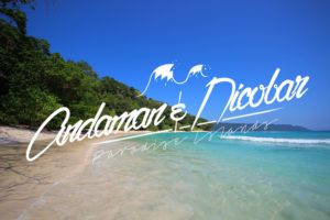 3N 4D Cheap Andaman Holiday Package