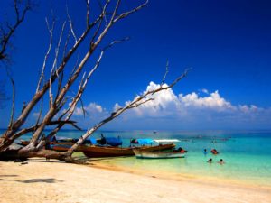 4N 5D Andaman Honeymoon Package