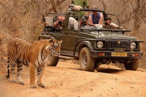 Ranthambore-National-Park