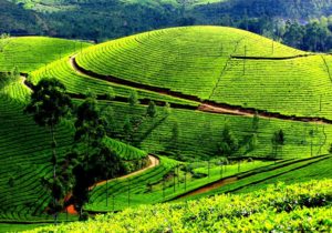 rsz_1munnar