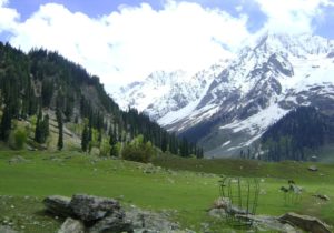 4N 5D Kashmir Honeymoon Package